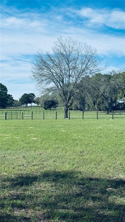 待售: $229,000 (4.39 acres)