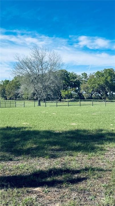 待售: $229,000 (4.39 acres)