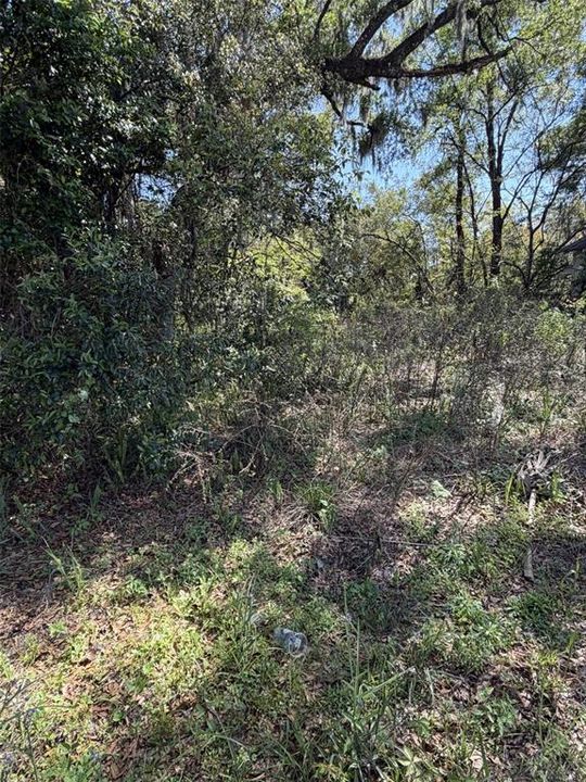 For Sale: $64,500 (0.16 acres)