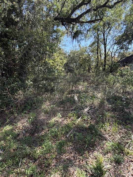 For Sale: $64,500 (0.16 acres)