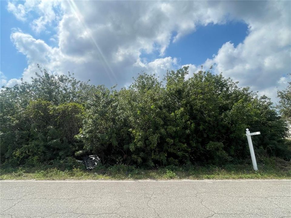 For Sale: $62,700 (0.29 acres)