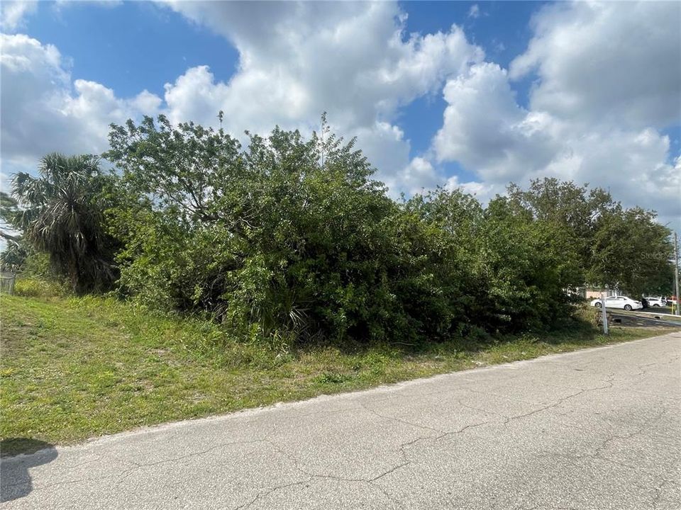 For Sale: $62,700 (0.29 acres)