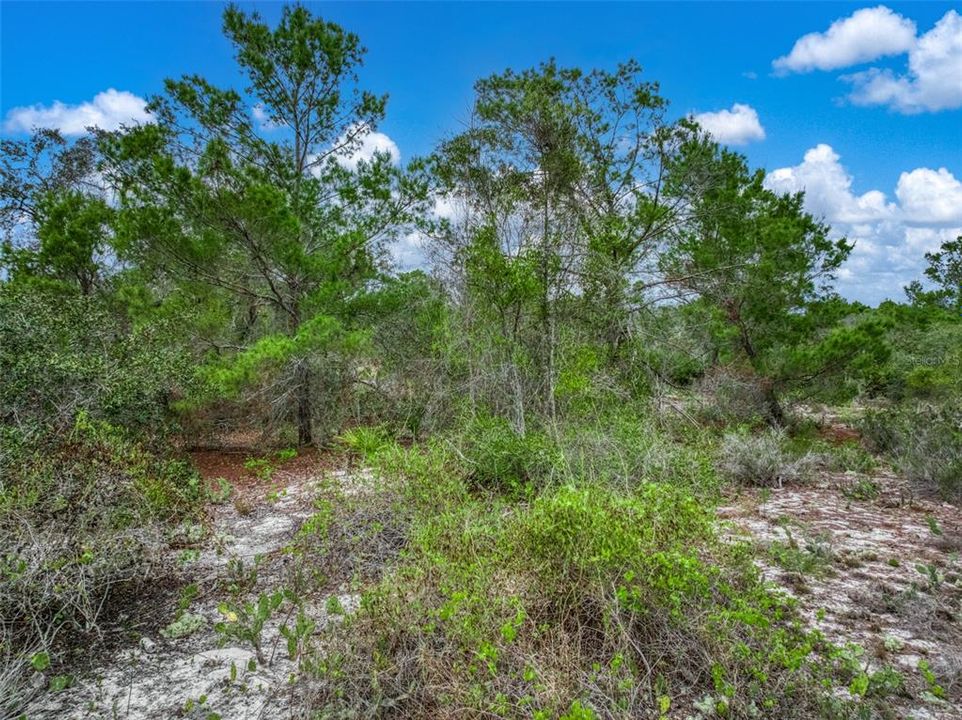 На продажу: $27,900 (0.52 acres)