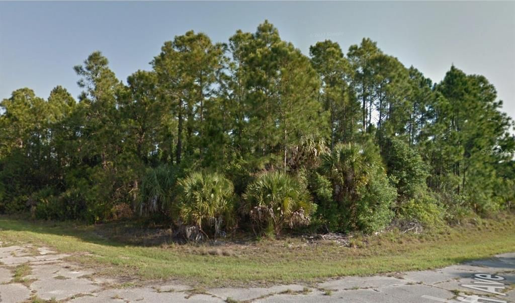 For Sale: $12,900 (0.31 acres)