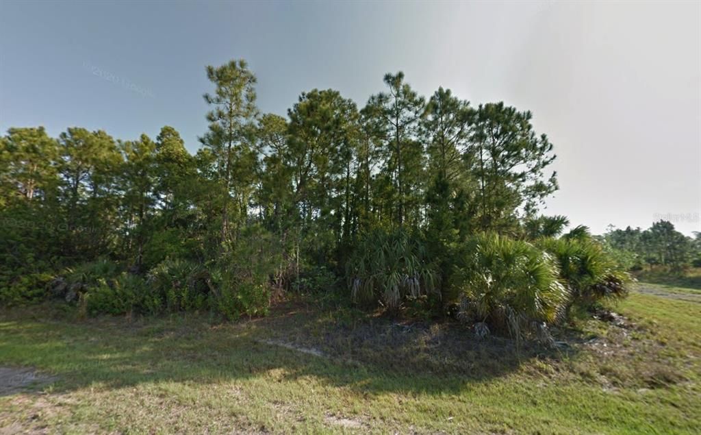 For Sale: $12,900 (0.31 acres)