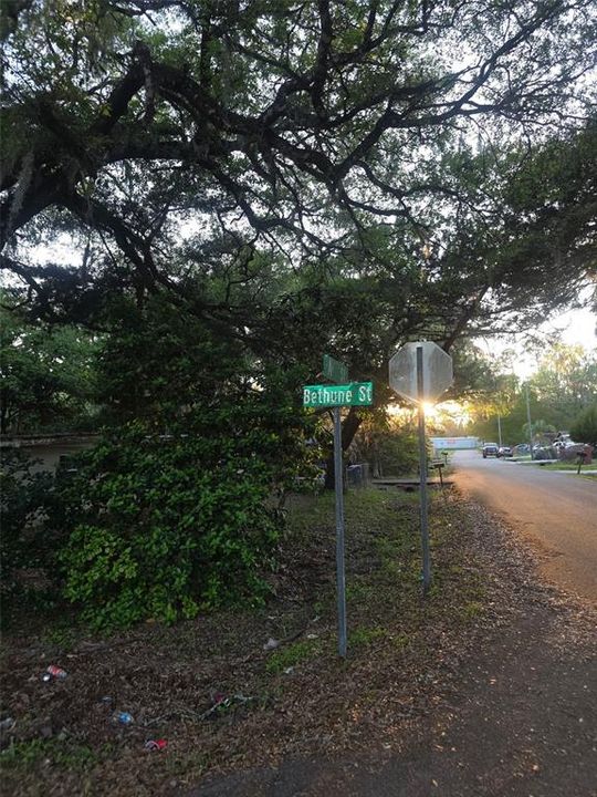 For Sale: $17,900 (0.12 acres)