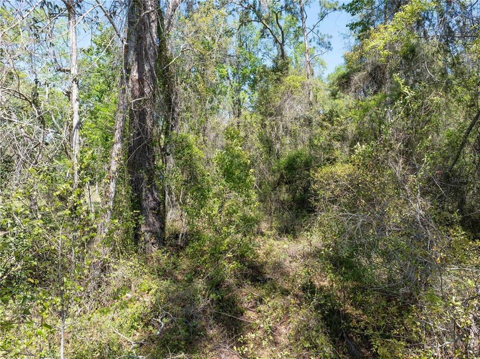 待售: $44,900 (1.19 acres)