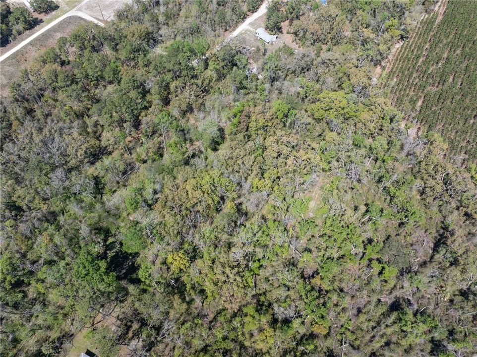 待售: $44,900 (1.19 acres)