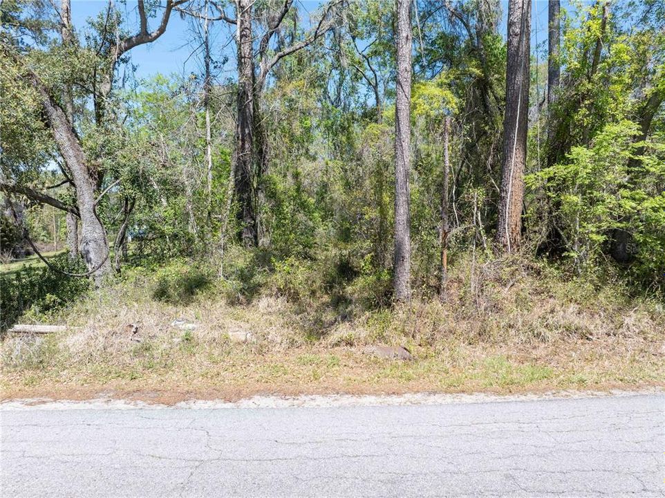 待售: $44,900 (1.19 acres)