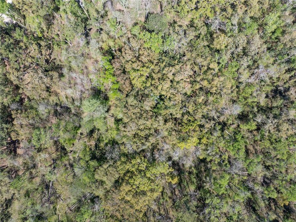 待售: $44,900 (1.19 acres)