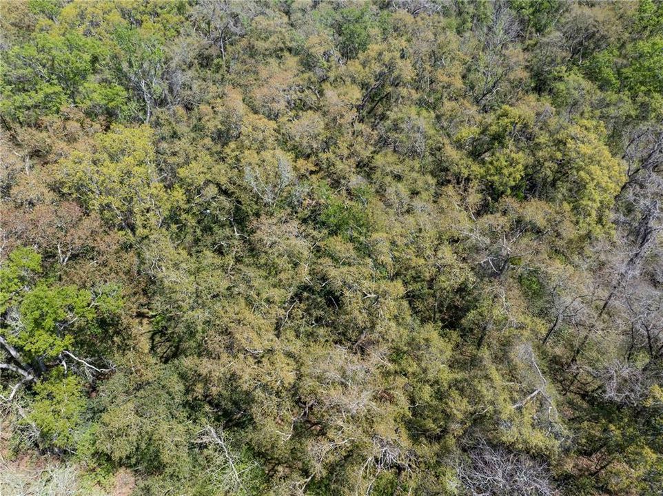 待售: $44,900 (1.19 acres)