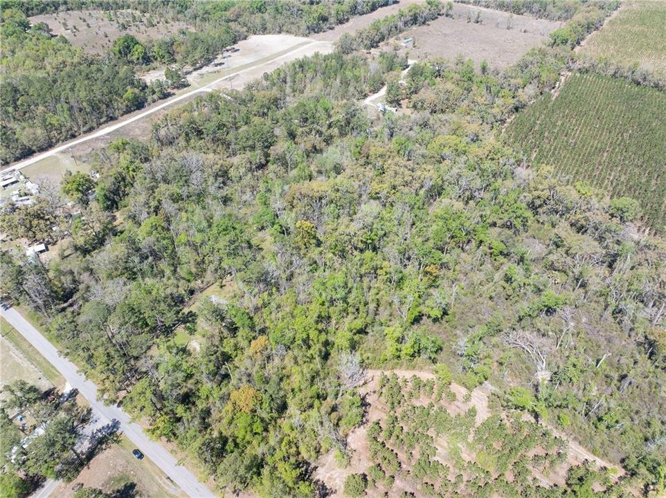 待售: $44,900 (1.19 acres)