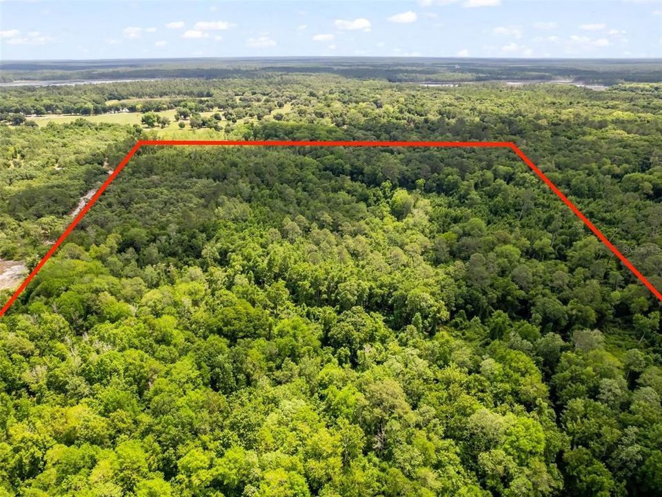 For Sale: $400,000 (43.88 acres)
