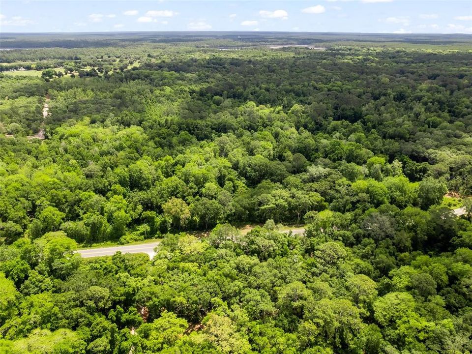 For Sale: $400,000 (43.88 acres)