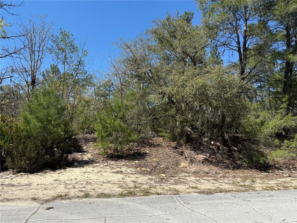 待售: $24,000 (0.31 acres)