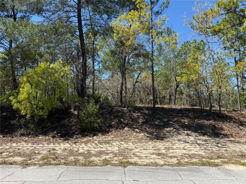 待售: $24,000 (0.30 acres)