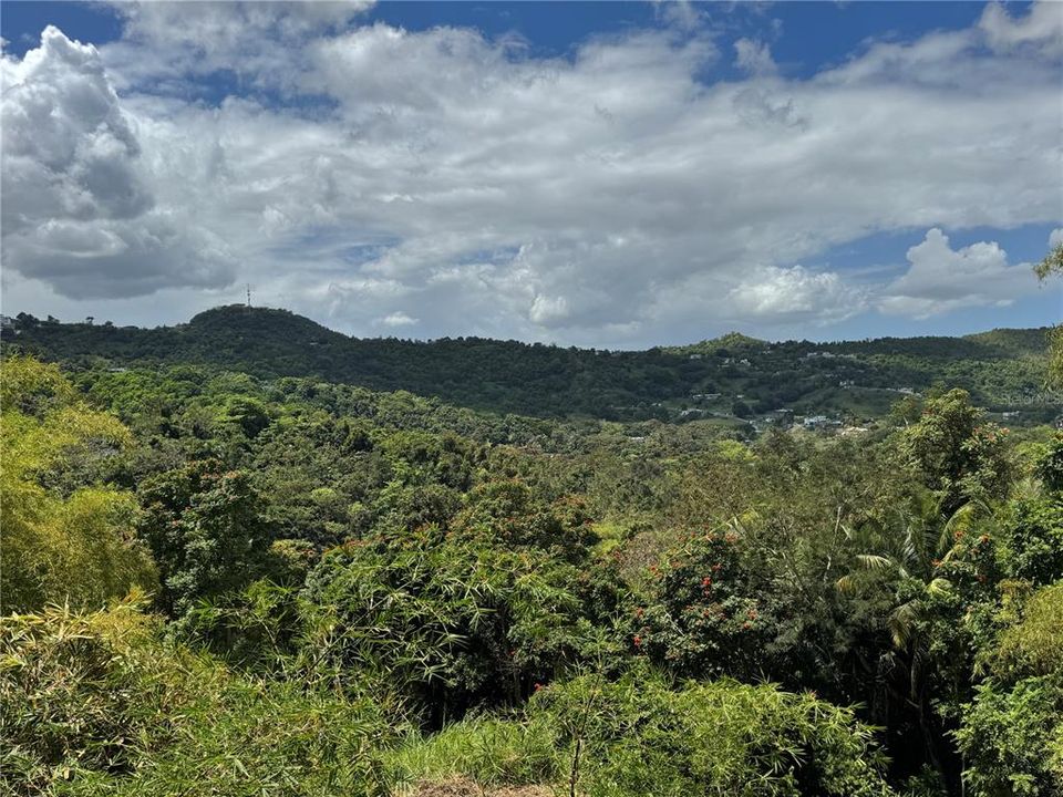 En Venta: $125,000 (2.30 acres)