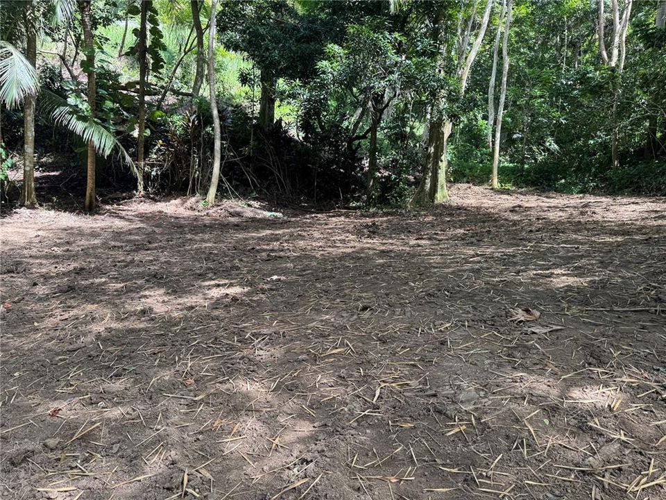 En Venta: $125,000 (2.30 acres)