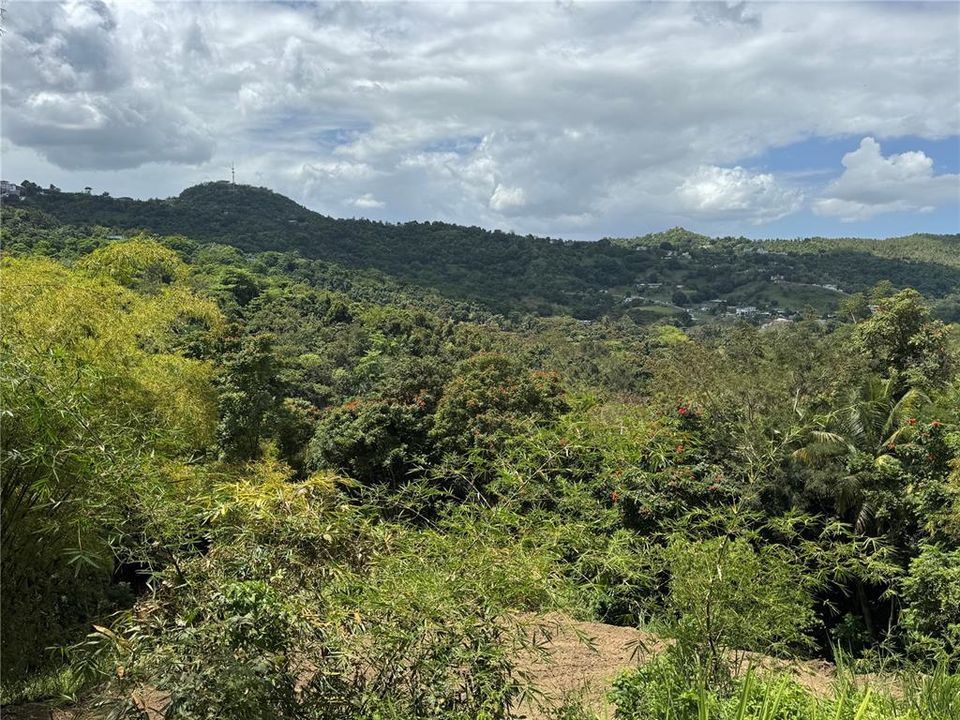 En Venta: $125,000 (2.30 acres)