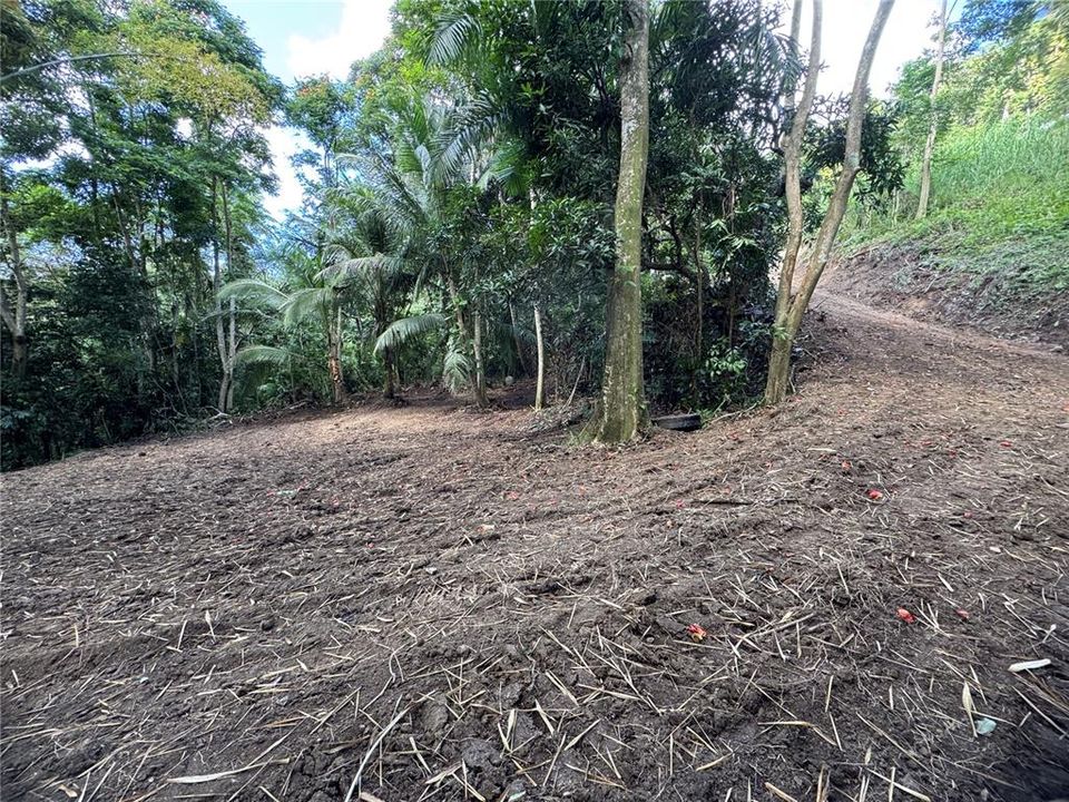 En Venta: $125,000 (2.30 acres)