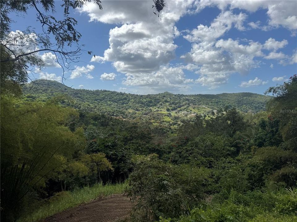 En Venta: $125,000 (2.30 acres)