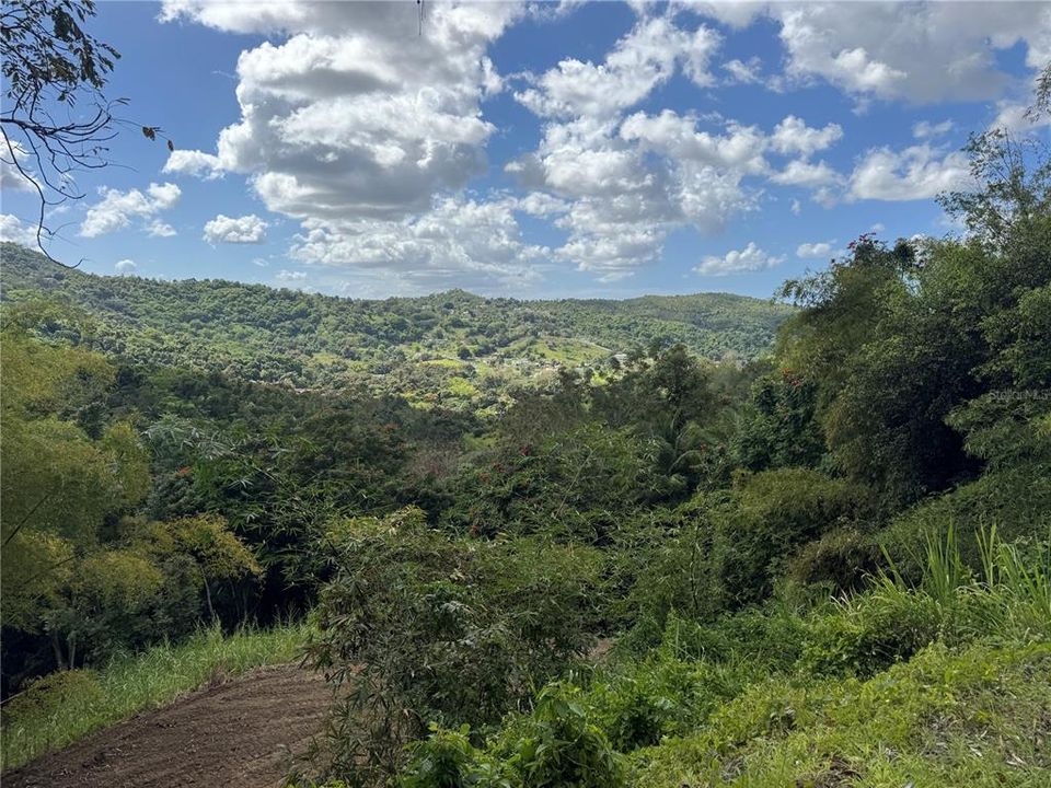 En Venta: $125,000 (2.30 acres)