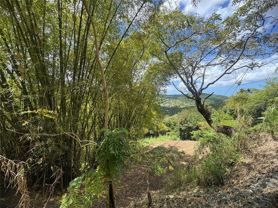 En Venta: $125,000 (2.30 acres)