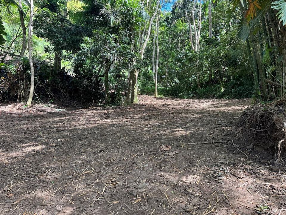 En Venta: $125,000 (2.30 acres)