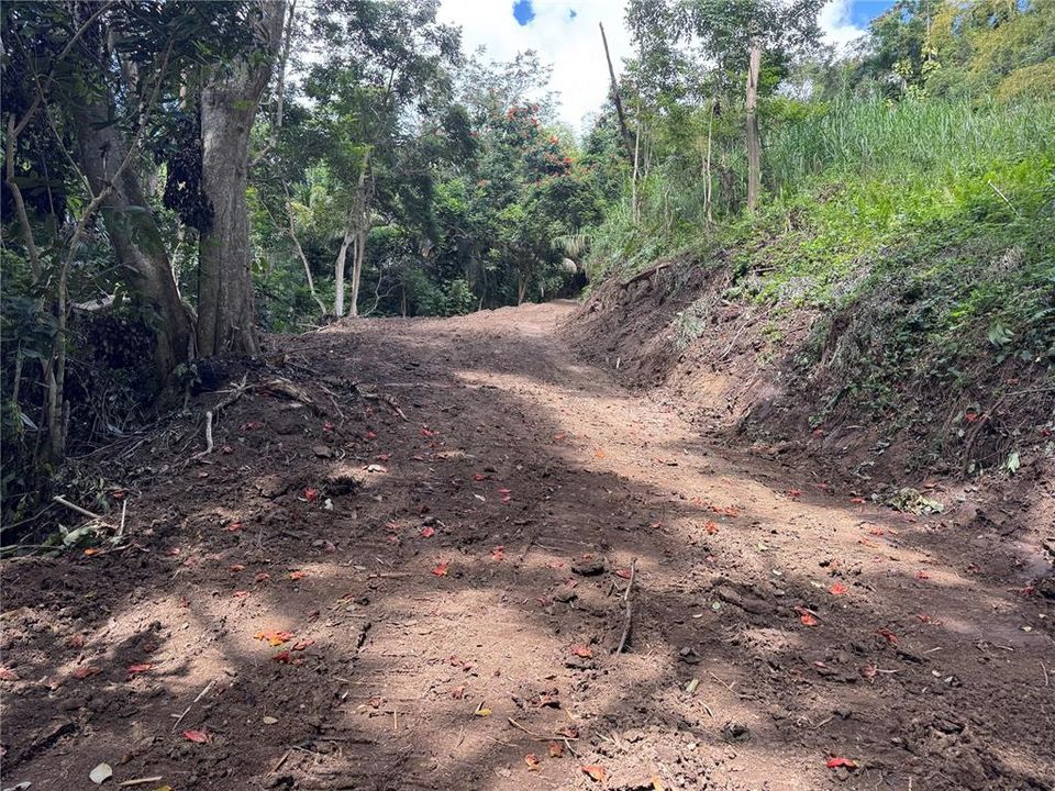 En Venta: $125,000 (2.30 acres)