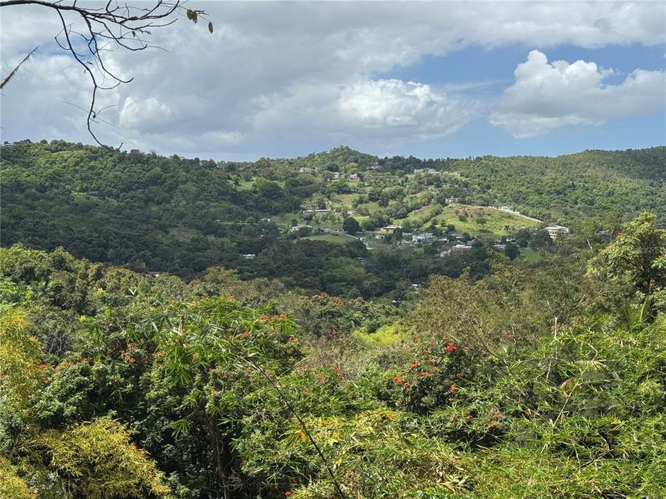 En Venta: $125,000 (2.30 acres)