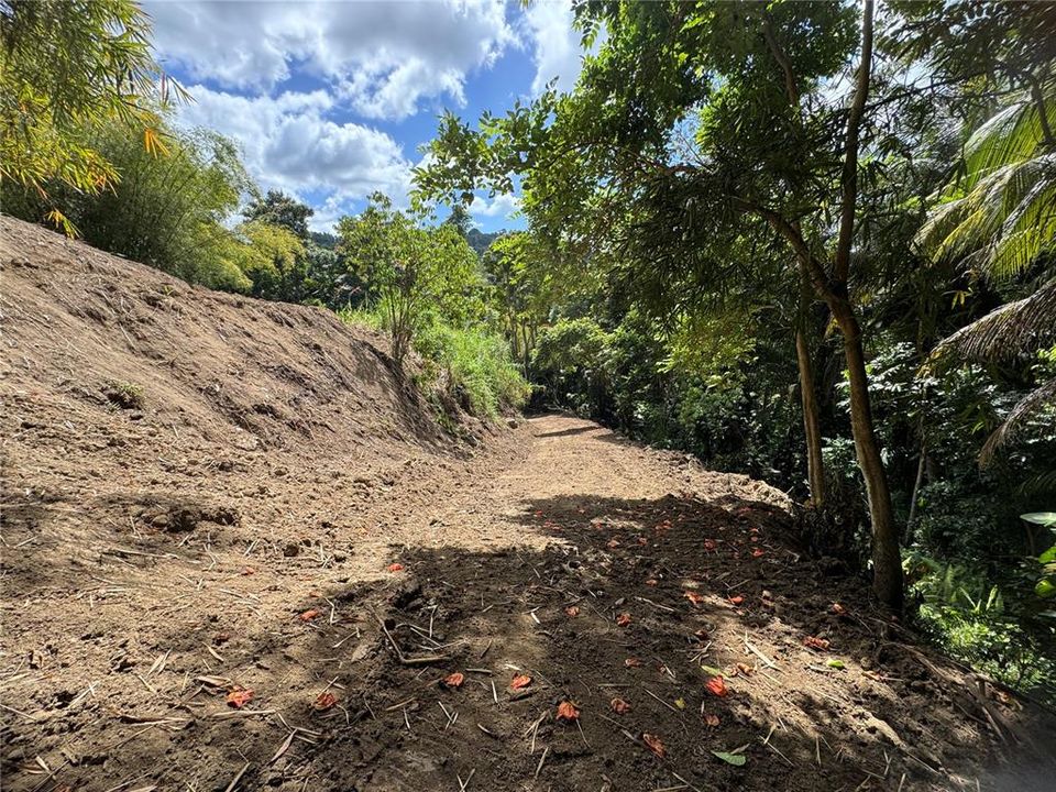 En Venta: $125,000 (2.30 acres)