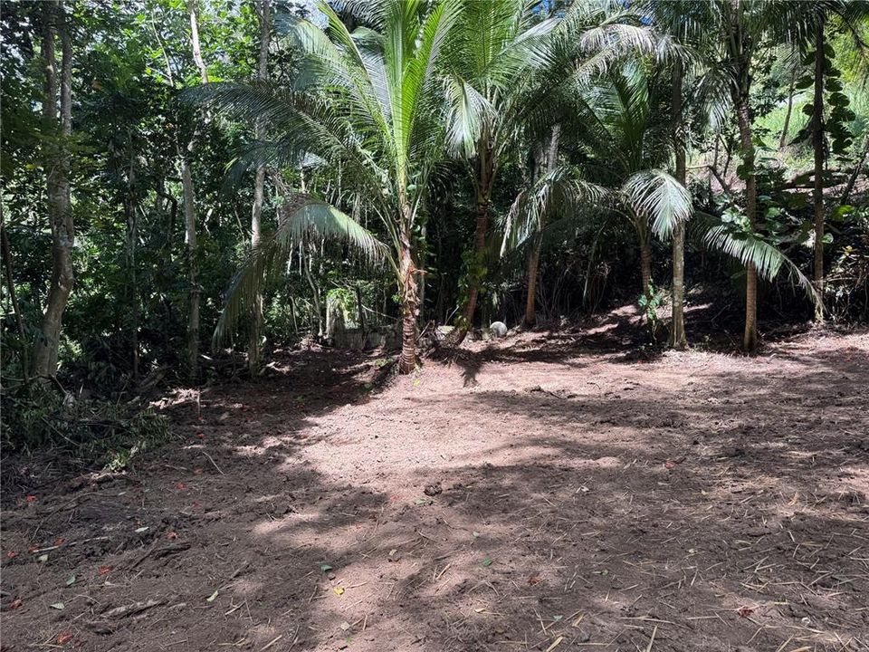 En Venta: $125,000 (2.30 acres)