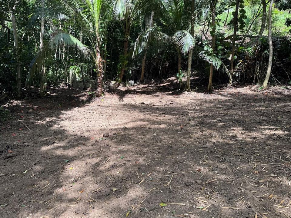En Venta: $125,000 (2.30 acres)