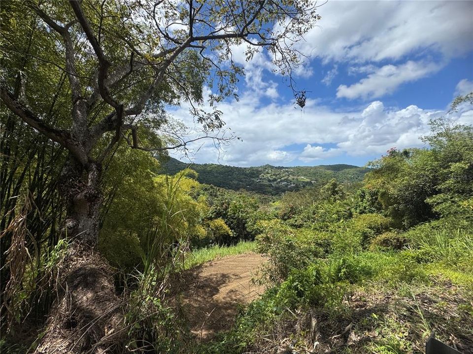 En Venta: $125,000 (2.30 acres)