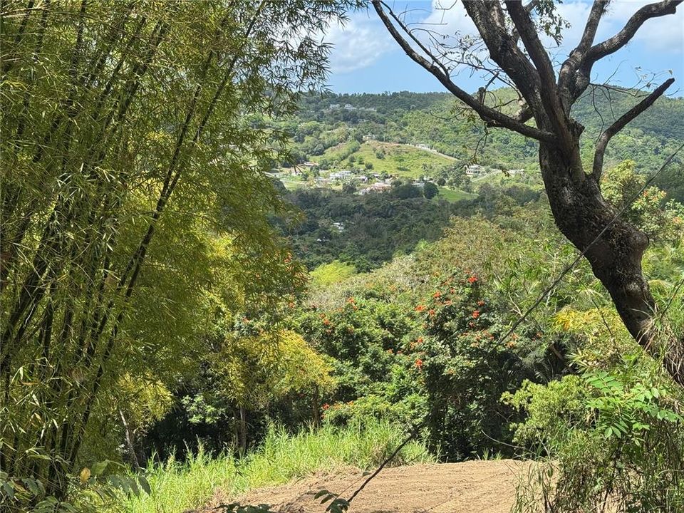 En Venta: $125,000 (2.30 acres)