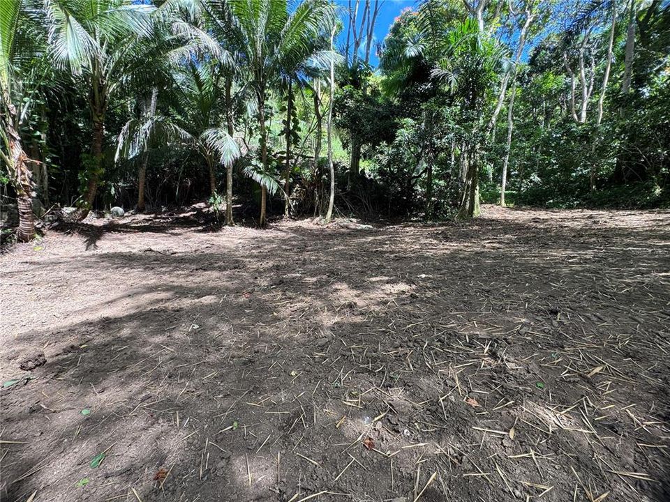En Venta: $125,000 (2.30 acres)
