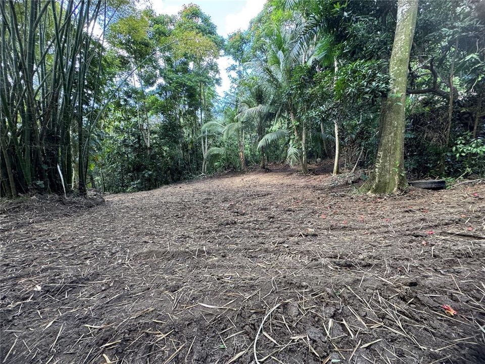 En Venta: $125,000 (2.30 acres)