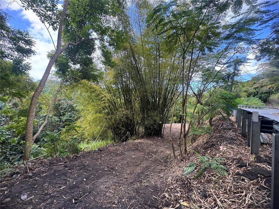 En Venta: $125,000 (2.30 acres)