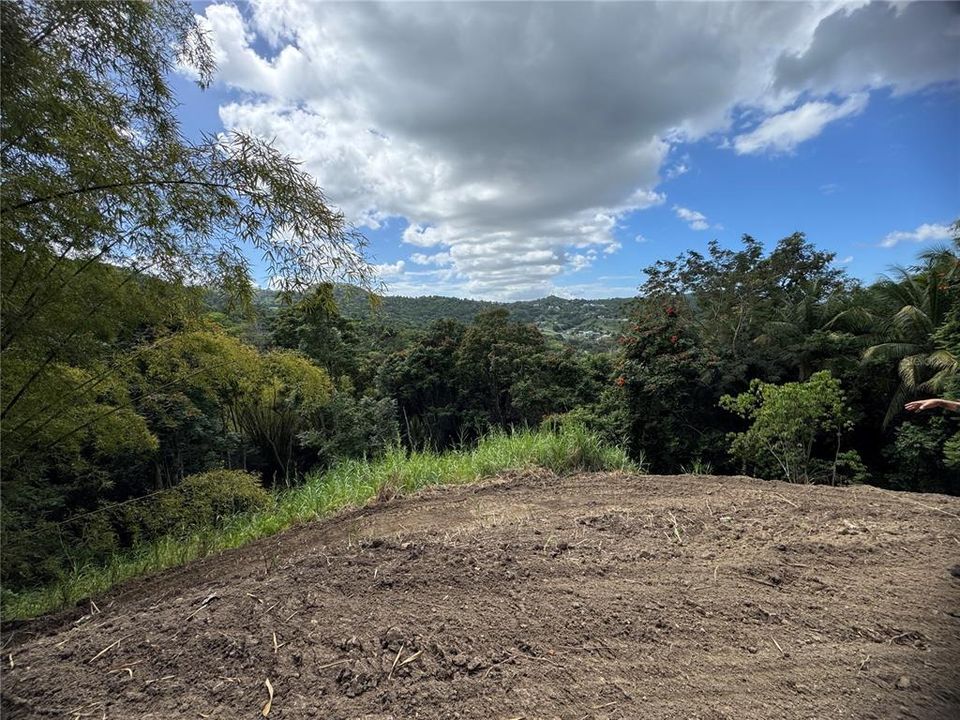 En Venta: $125,000 (2.30 acres)