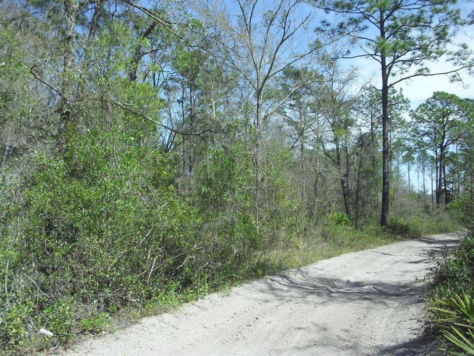 En Venta: $29,999 (1.25 acres)