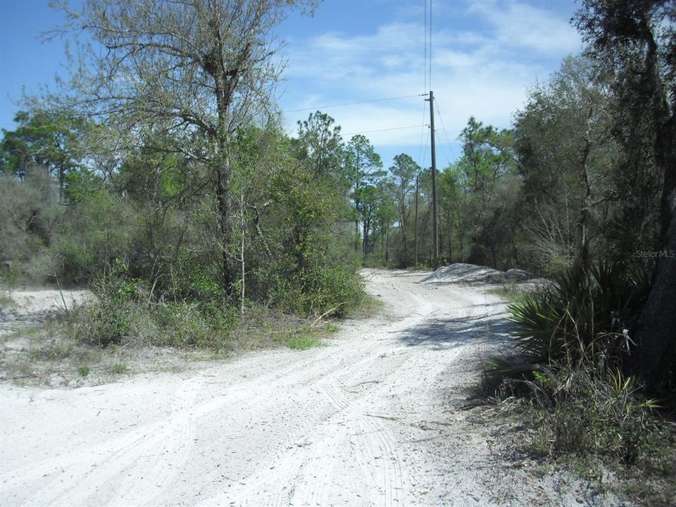 En Venta: $29,999 (1.25 acres)