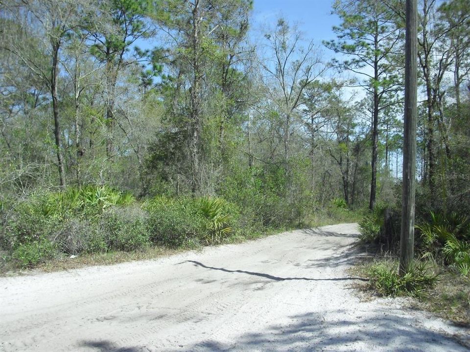 En Venta: $29,999 (1.25 acres)