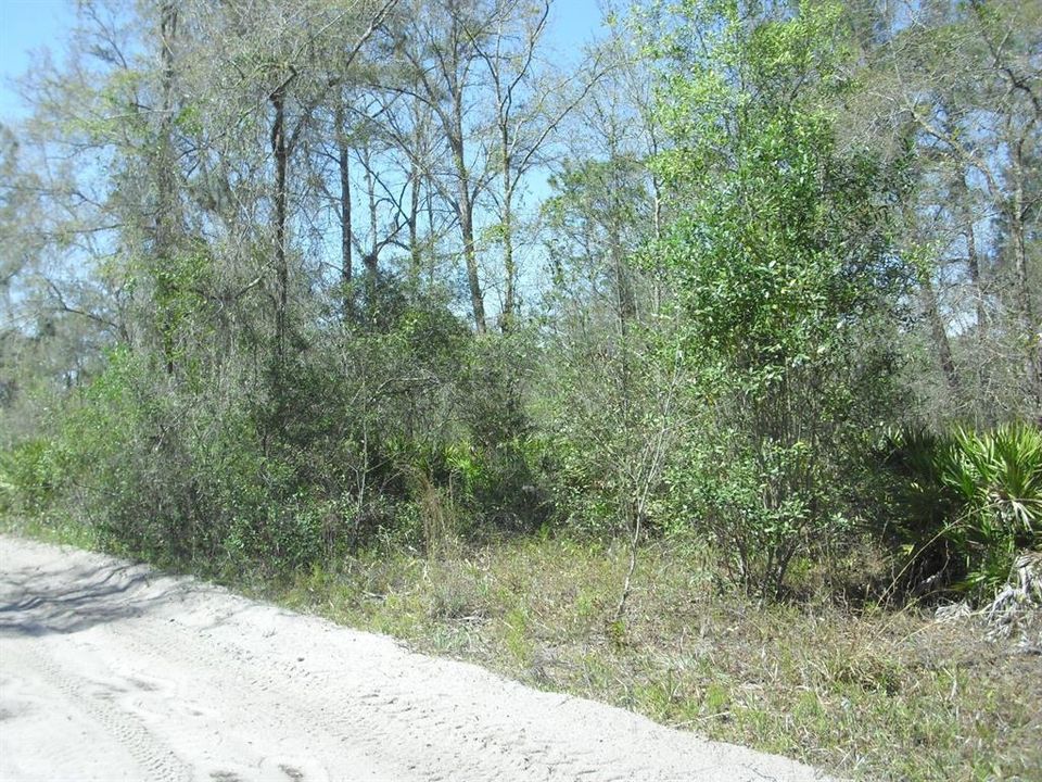 En Venta: $29,999 (1.25 acres)
