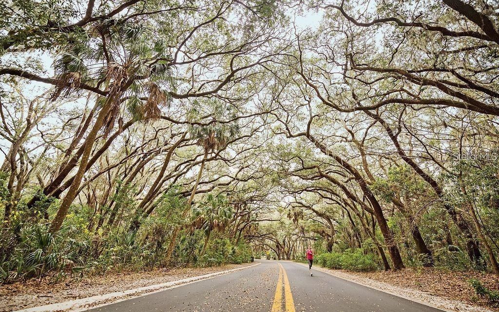 出租: $2,100 (2 贝兹, 1 浴室, 609 平方英尺)
