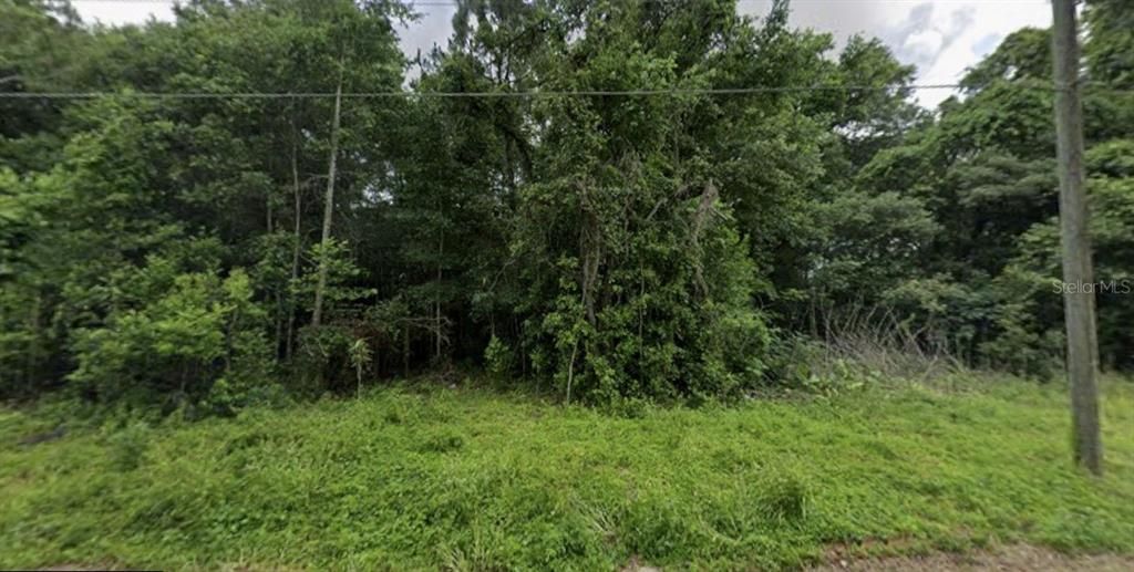 For Sale: $26,700 (0.21 acres)