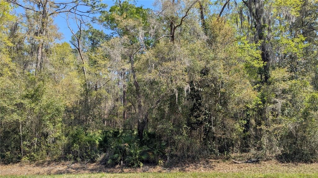 For Sale: $55,000 (1.81 acres)