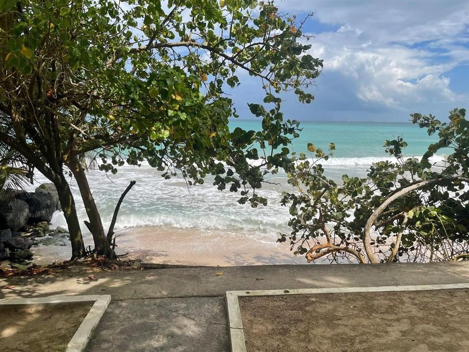 В аренду: $2,500 (2 спален, 1 ванн, 922 Квадратных фут)