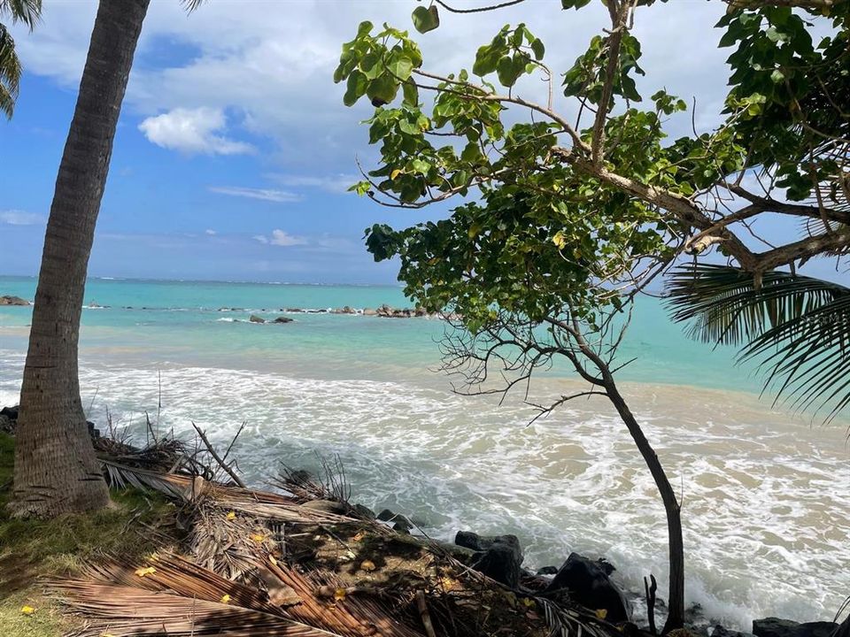 В аренду: $2,500 (2 спален, 1 ванн, 922 Квадратных фут)