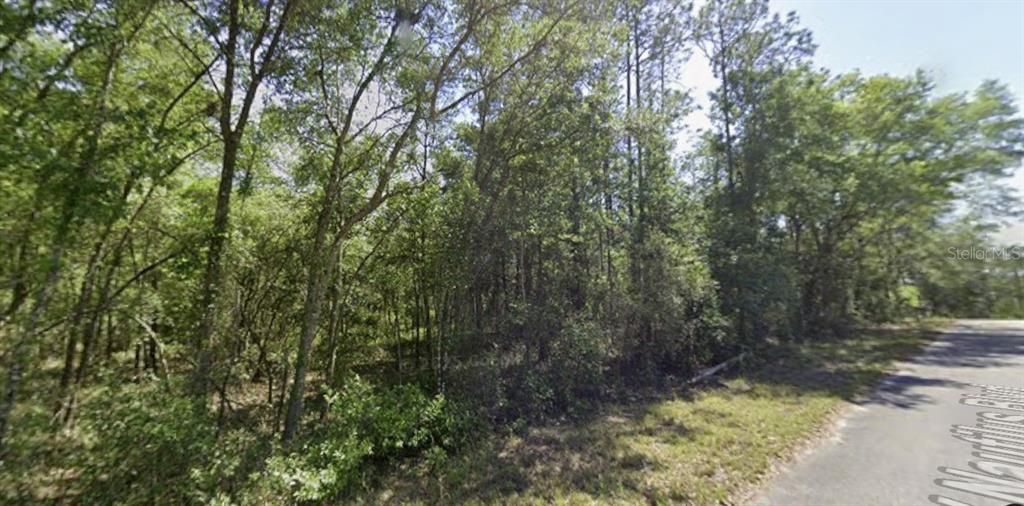 For Sale: $30,500 (0.99 acres)