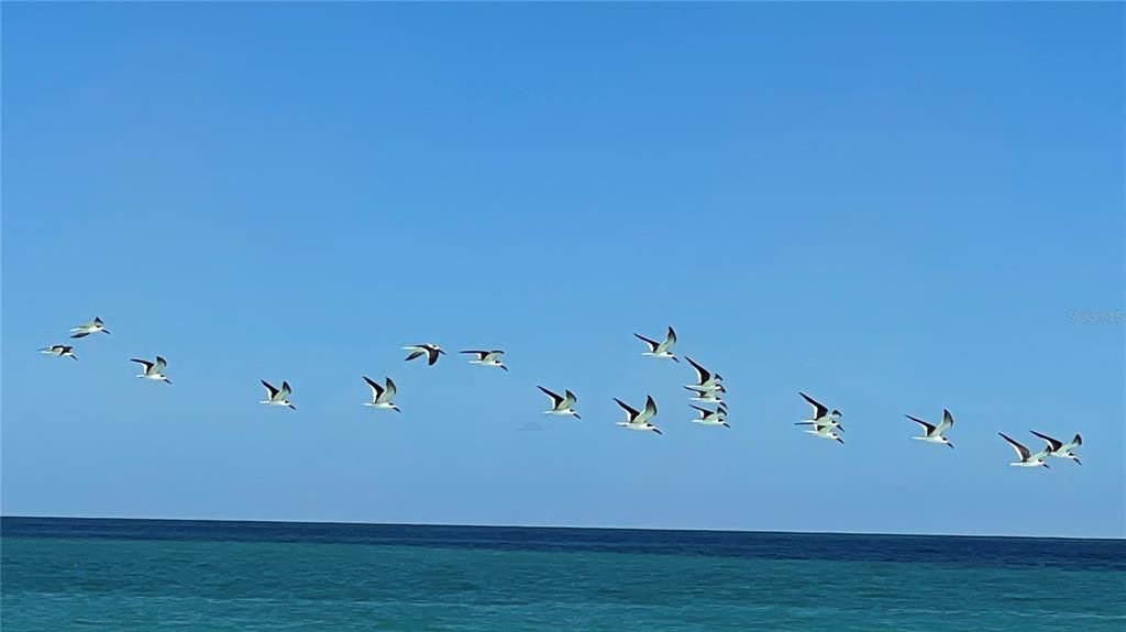 待售: $300,000 (0.20 acres)